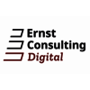 Ernst Digital Solutions GmbH
