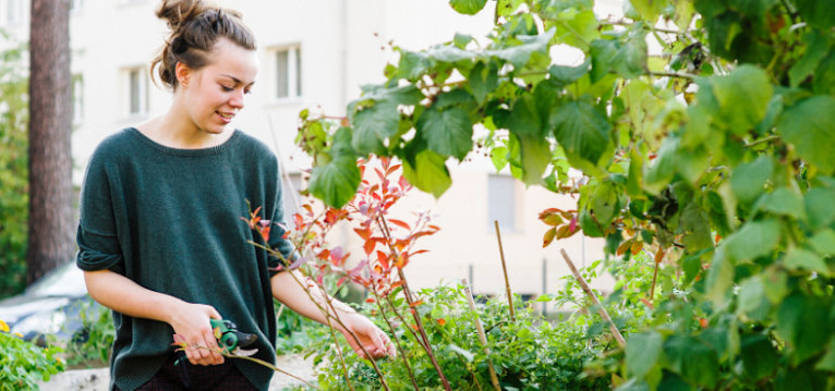 innovate4nature, Wettbewerb, Call, Insekten, Biodiversität,