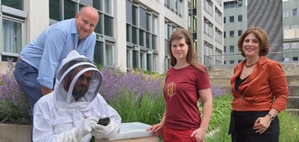SuperBee Keeper - mit AR gegen die Pandemie im Bienenstock