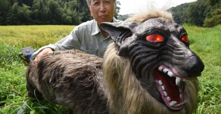 Roboter-Wölfe, Ohta Seiki, Bären in Japan, Bären, Japan, Angriff, Bären-Angriff, Robo-Wolf, Robo-Wölfe