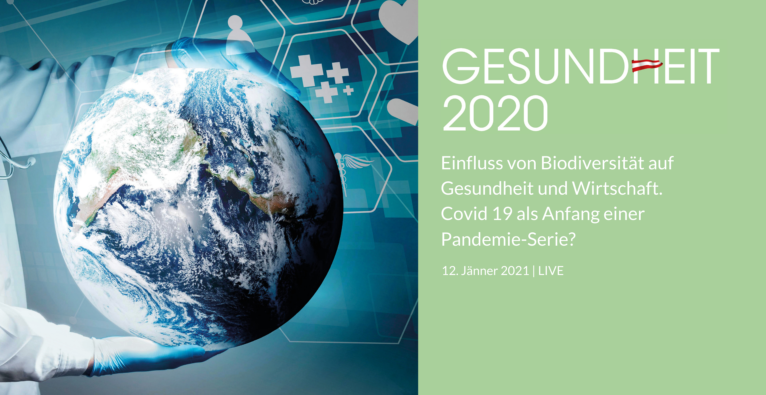 Covid-19 als Beginn einer Pandemie-Serie