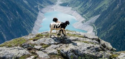 MyPlatzerl, Urlaub , Urlaub in Österreich, Heimaturlaub, Buchen