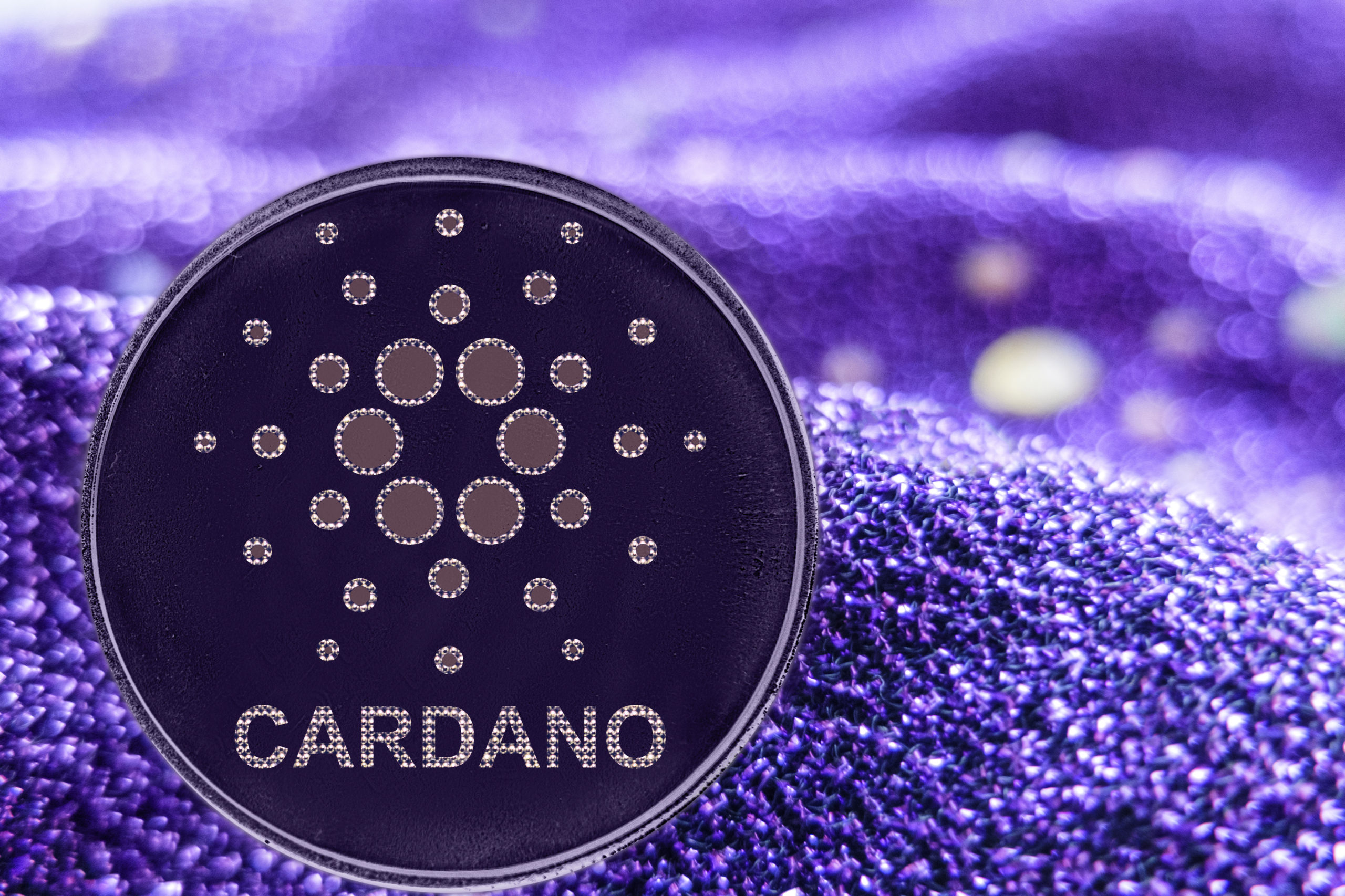 Hat Cardano Crypto eine Zukunft?