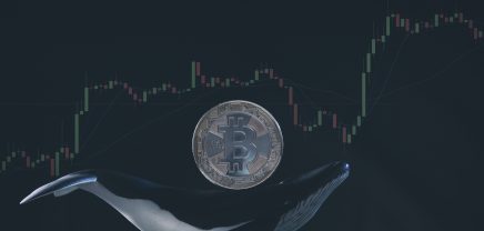 Bitcoin, Crypto Whale
