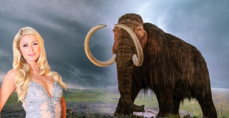 Paris Hilton beteiligt sich an einer 60 Millionen US-Dollar Kapitalrunde für das Mammut-Startup Colossal