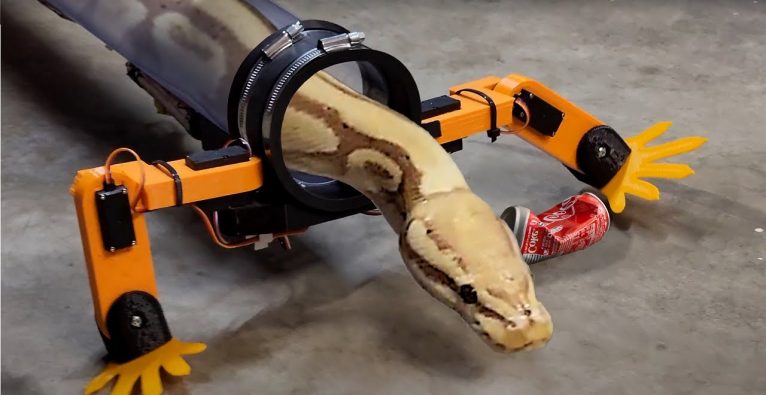 Screenshot: So sieht das Schlangen-Exoskelett aus