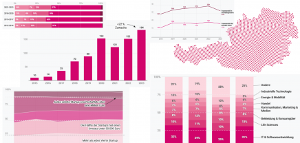 Grafiken zur Startup Entwicklung Österreich