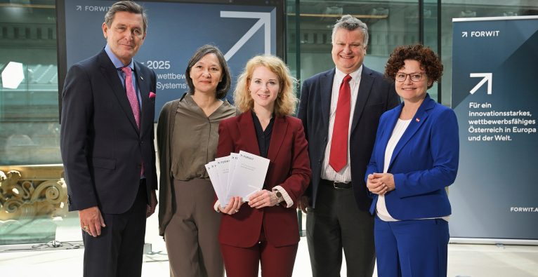 FTI-Monitor 2025