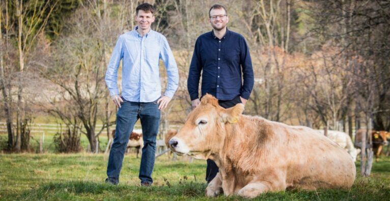 nahgenuss, Spannferkel, Rind